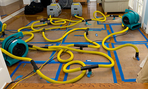 Professional Burst Pipe Water Damage technician working in Cisco, UT
